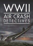 二戰(zhàn)墜機(jī)調(diào)查